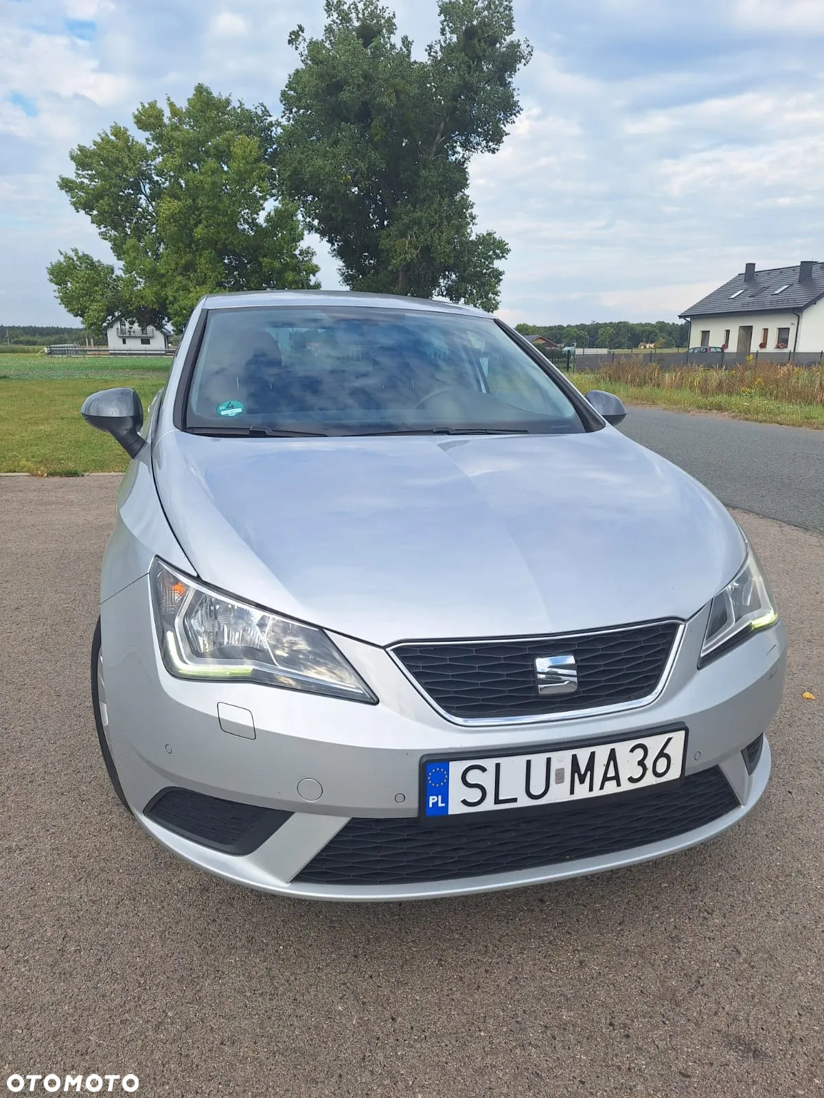 Seat Ibiza - 2