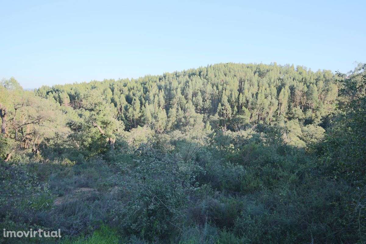 Terreno  para venda - Grande imagem: 4/4