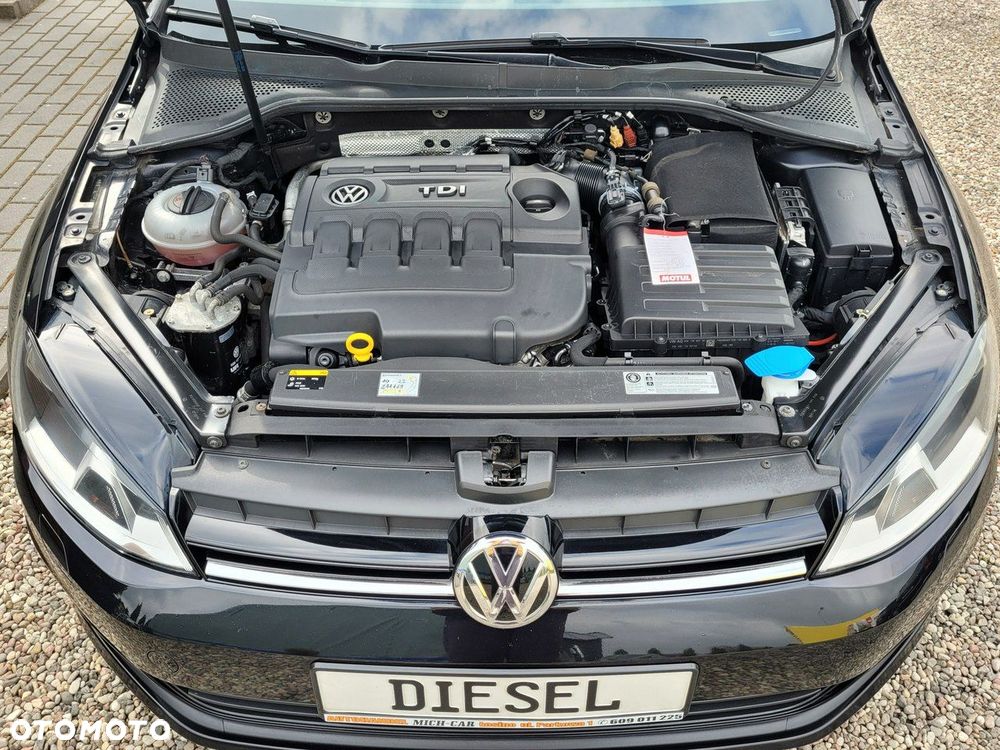 Volkswagen Golf - 7