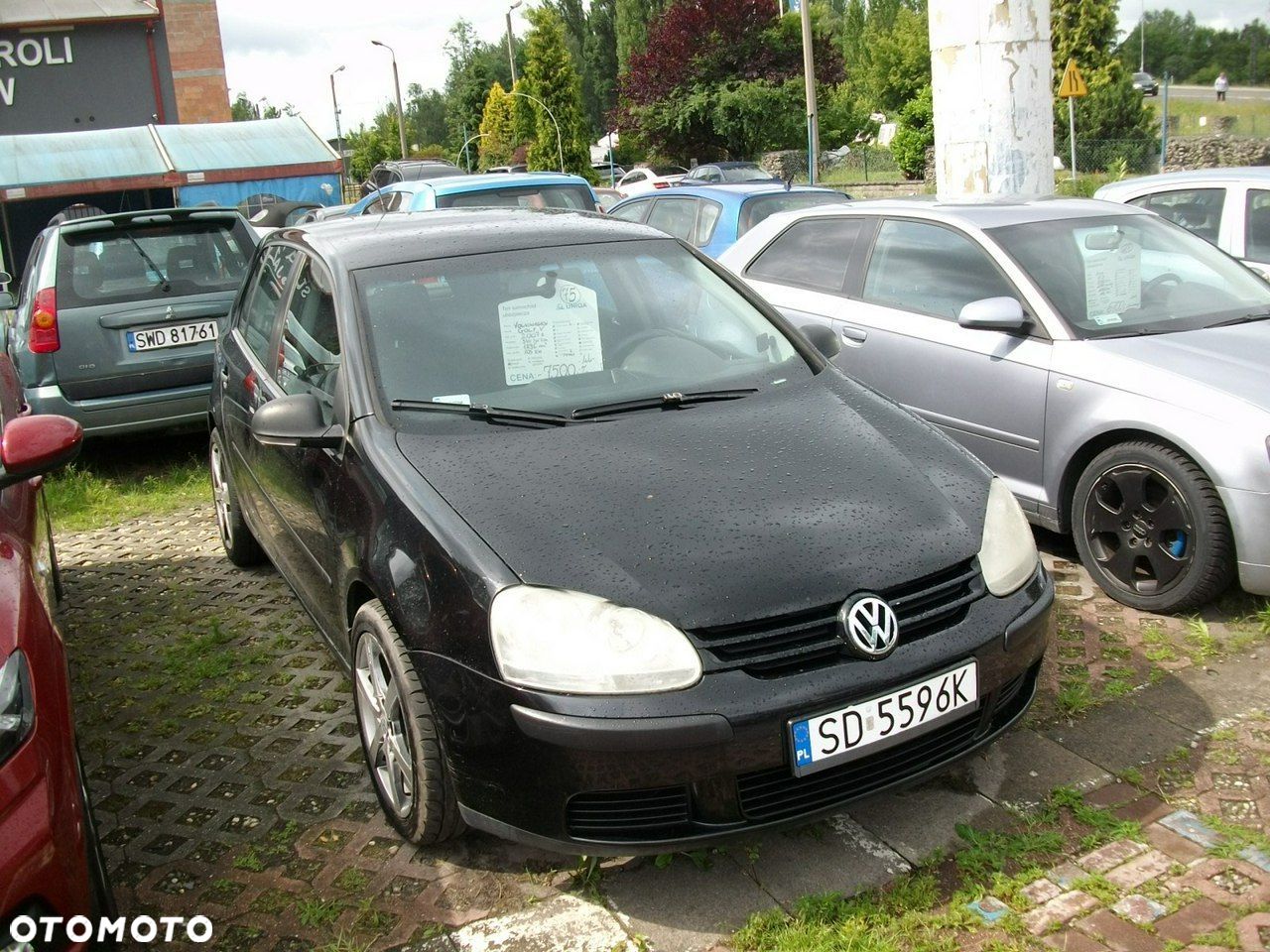 Volkswagen Golf - 1