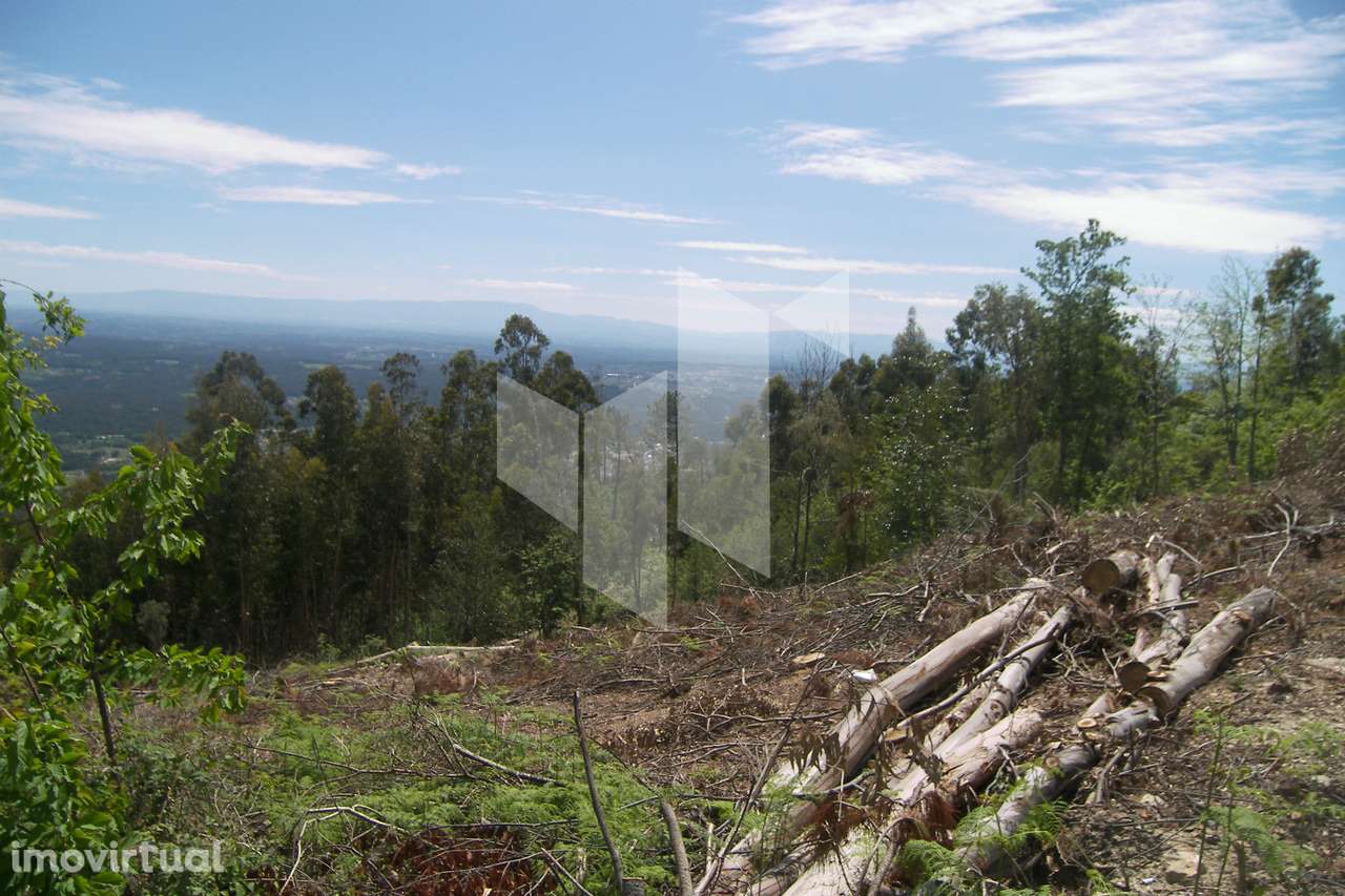 Terreno Para Construção  Venda em Guardão,Tondela - Grande imagem: 5/7