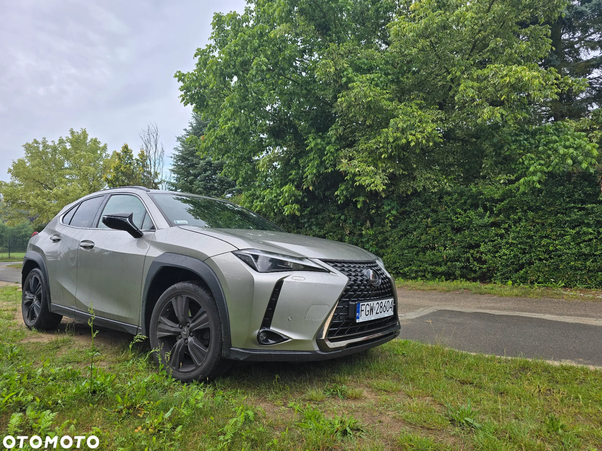 Lexus UX 200 GPF Business 2WD - 6