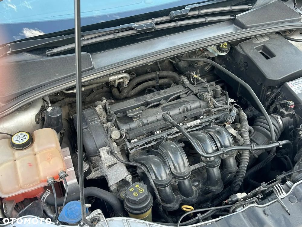 Ford Focus - 8