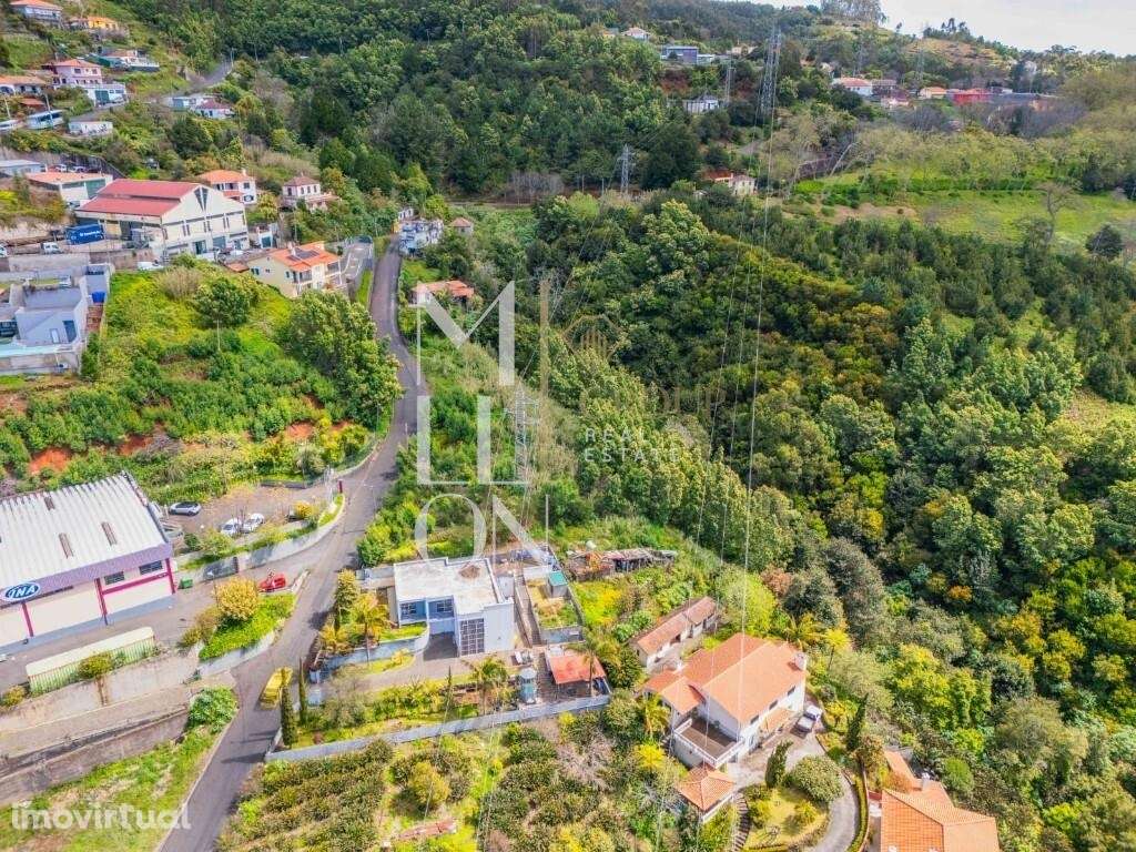 Exclusividade e Elegância no Palheiro Ferreiro – Madeira - Grande imagem: 4/17