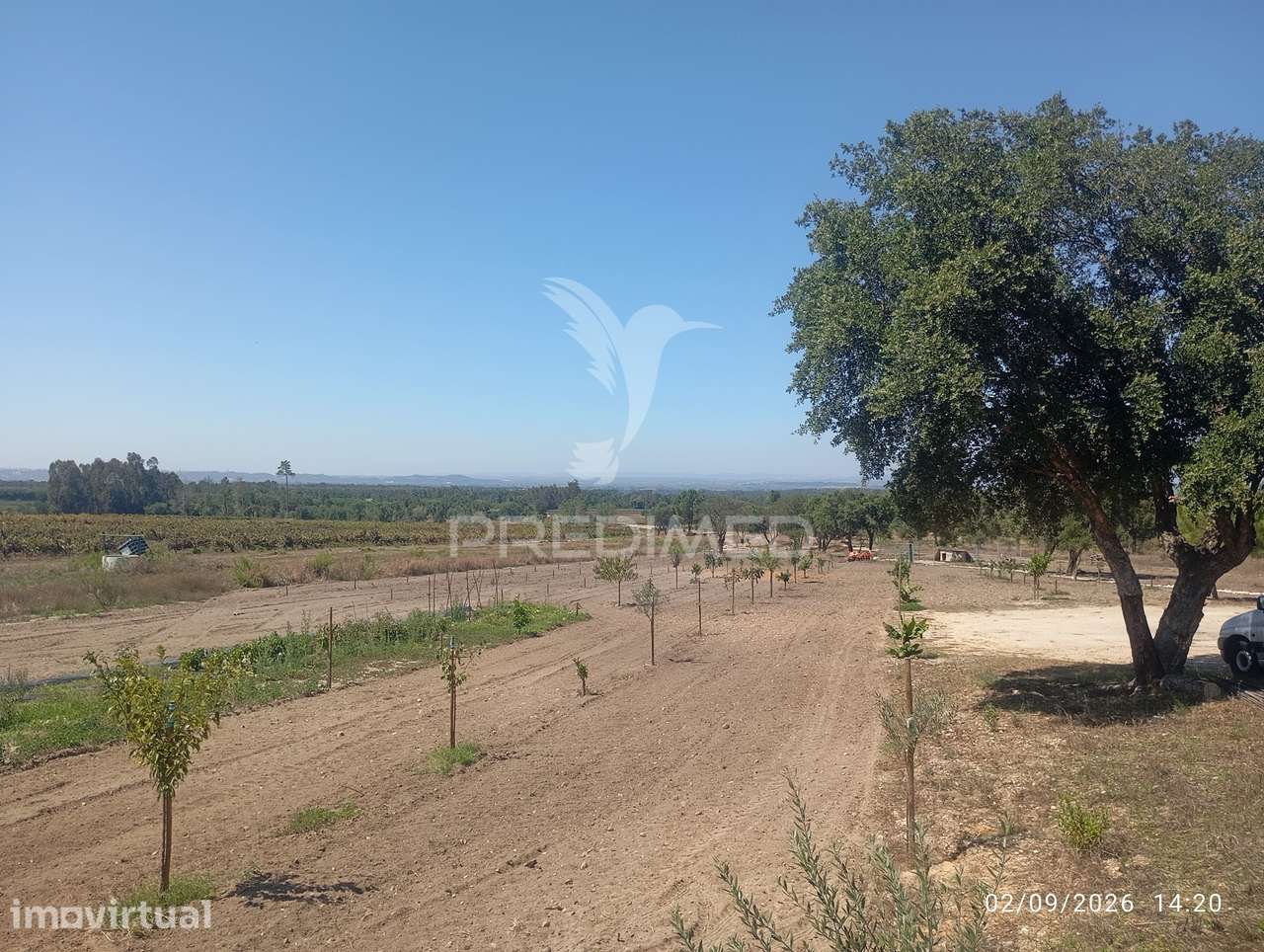 Terreno argricula para construção de armazem de 220 m2 em Alpiarça... - Grande imagem: 5/7