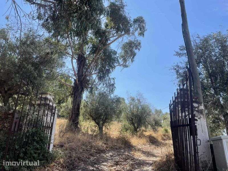 Monte/Herdade em pleno parque natural - Grande imagem: 5/11