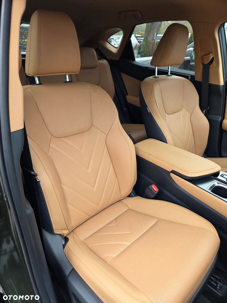 Lexus NX 450h+ Omotenashi AWD - 19