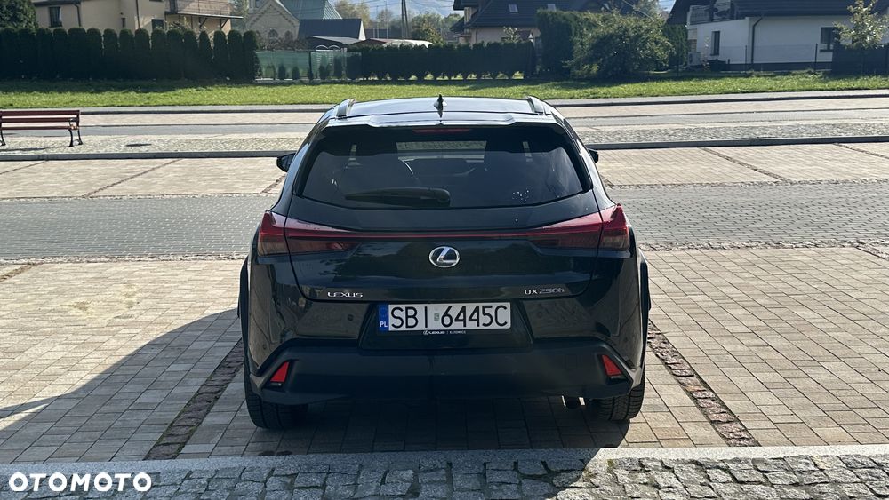 Lexus UX 250h GPF Prestige AWD - 11