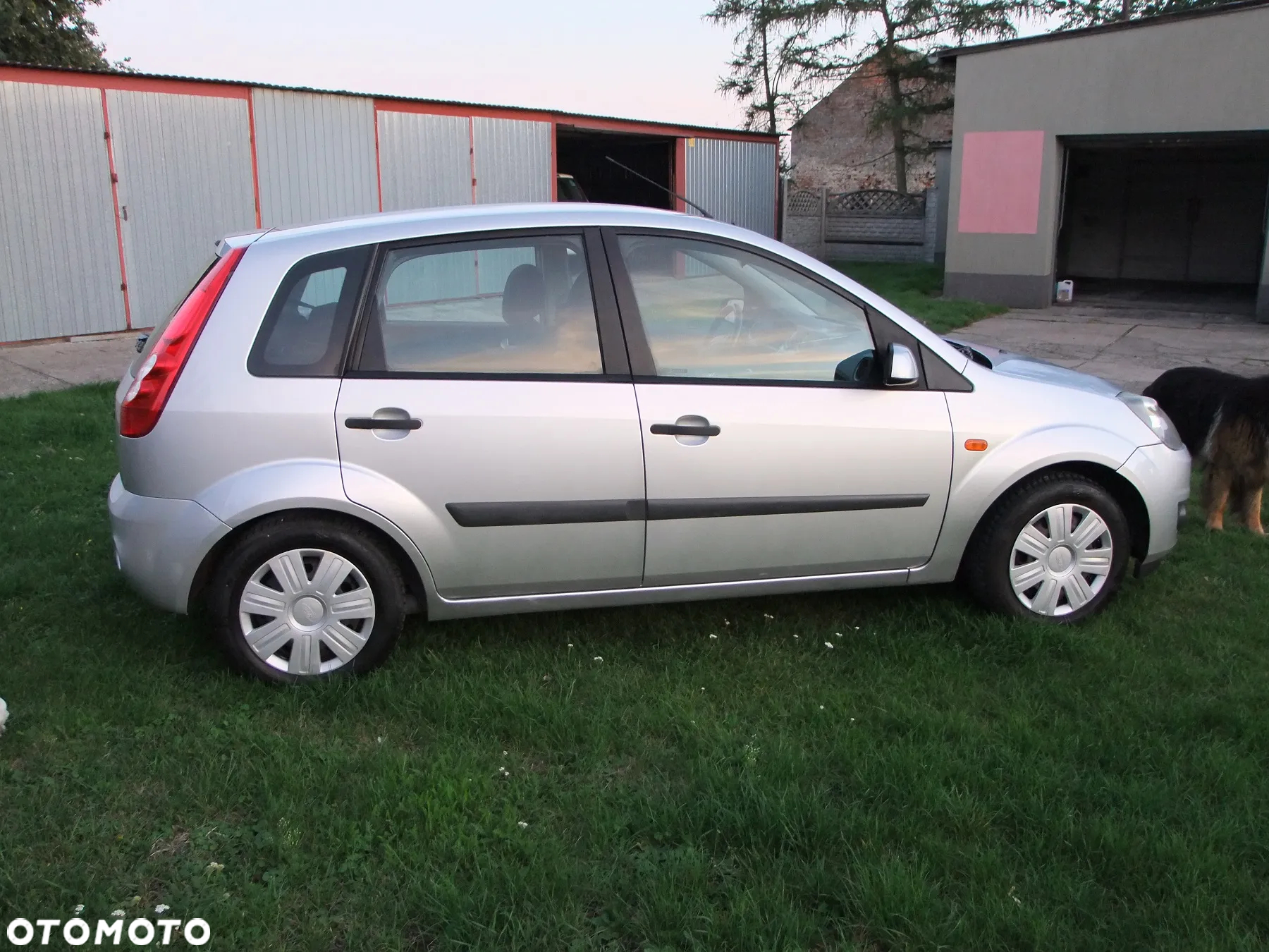 Ford Fiesta - 5