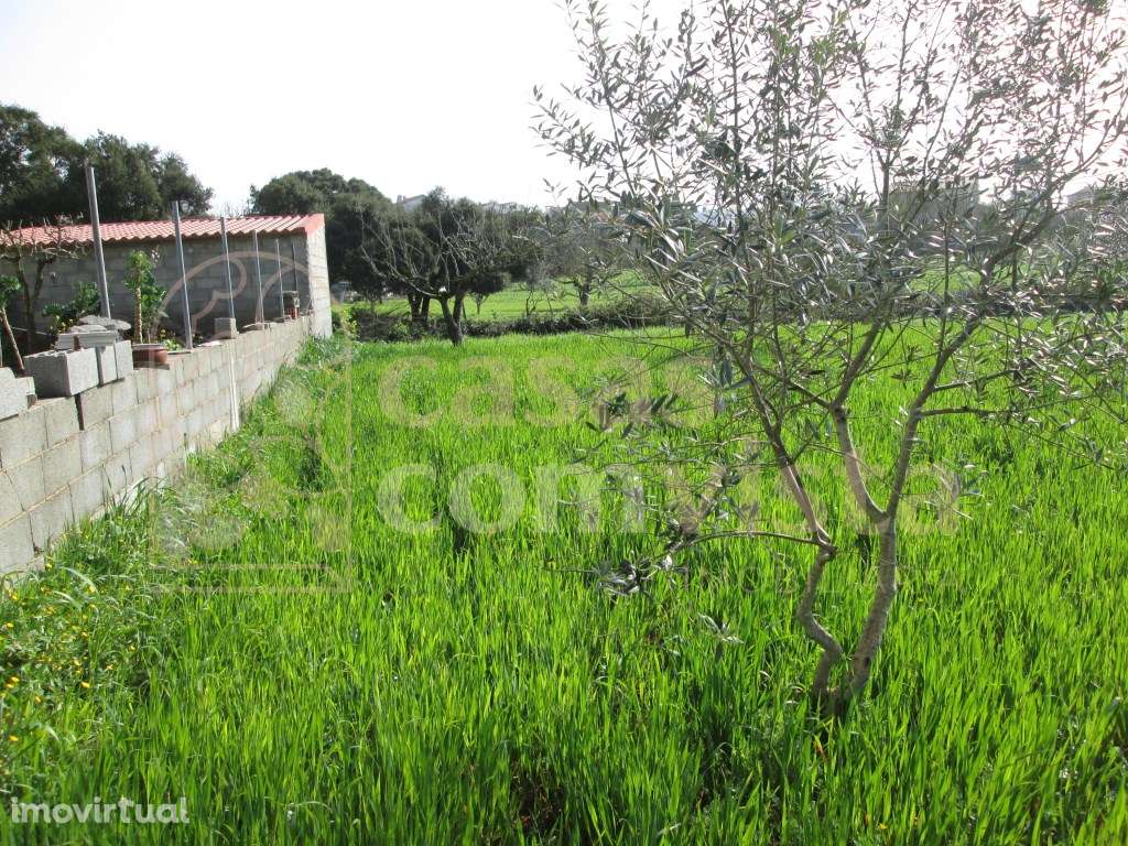 Lote Construção/ Fátima /Ourém - Grande imagem: 3/23