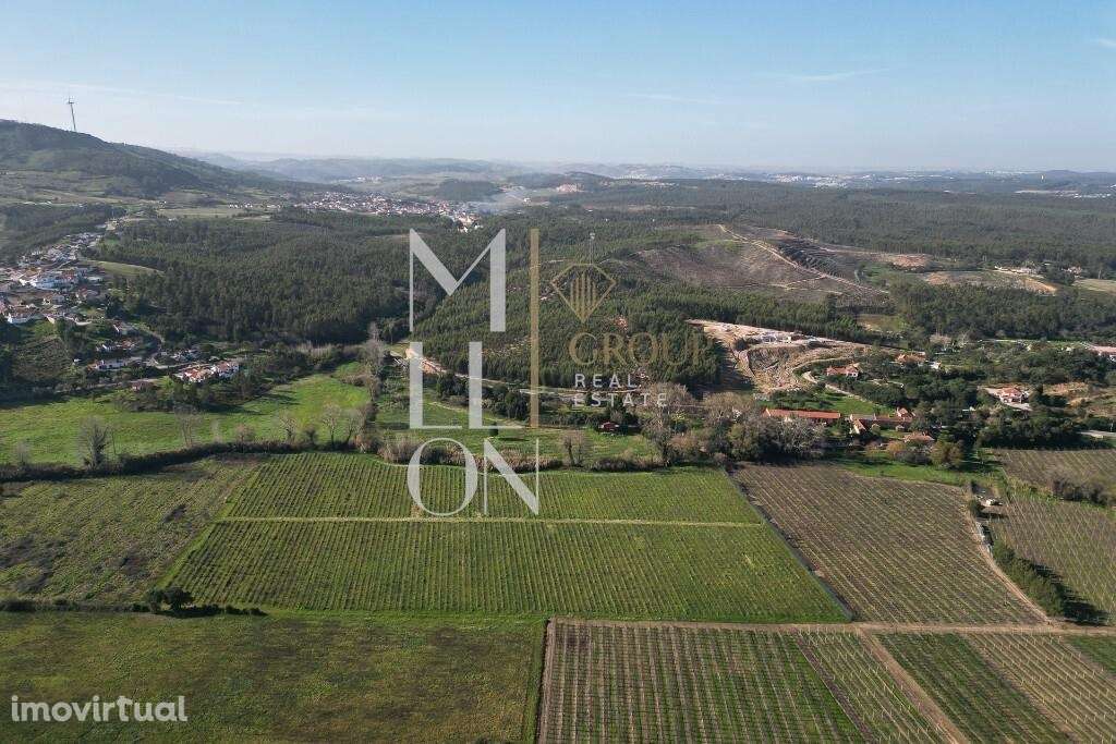 Propriedade Histórica e Vinícola Única – Uma Oportunidade Rara a 50 mi - Grande imagem: 3/31