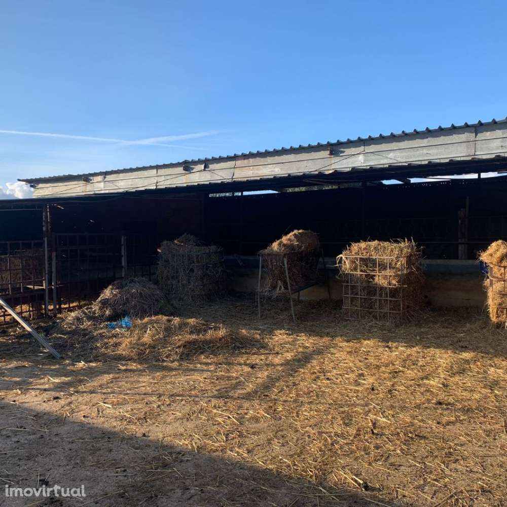 Propriedade 5 ha | Solo Urbano + 823 m² Construídos - Grande imagem: 3/10