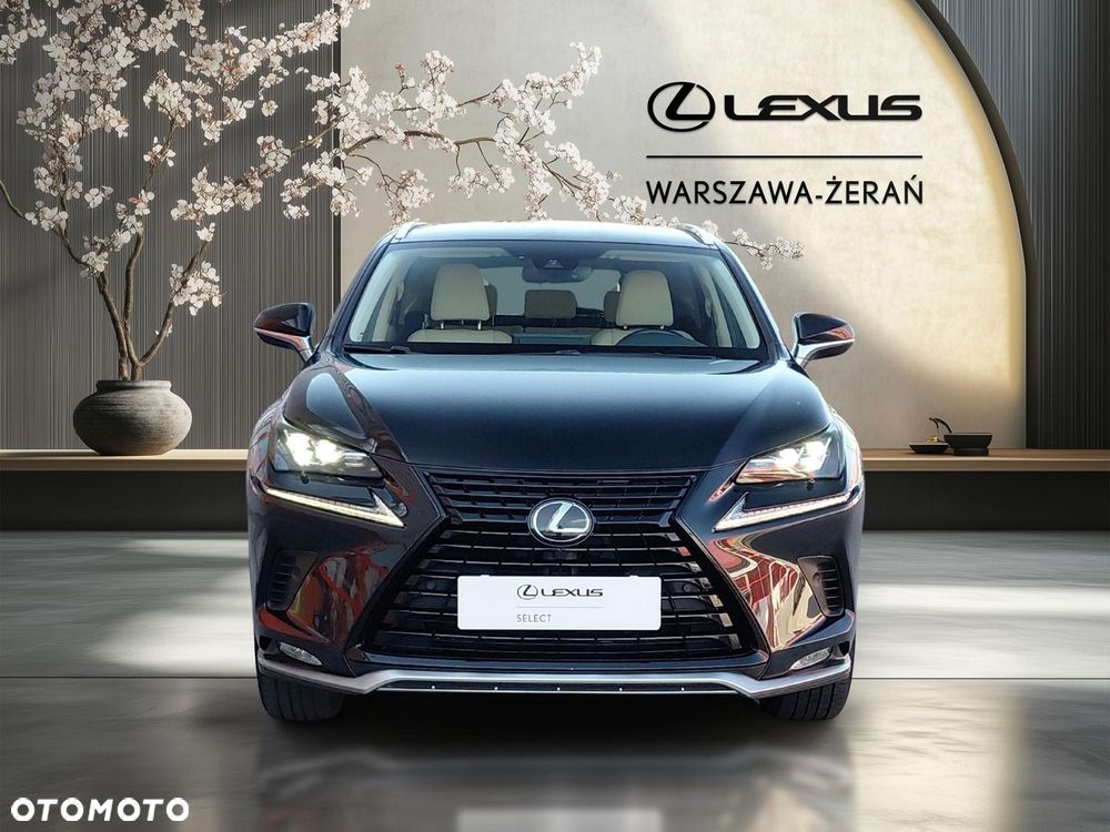 Lexus NX 300 F Impression AWD - 10