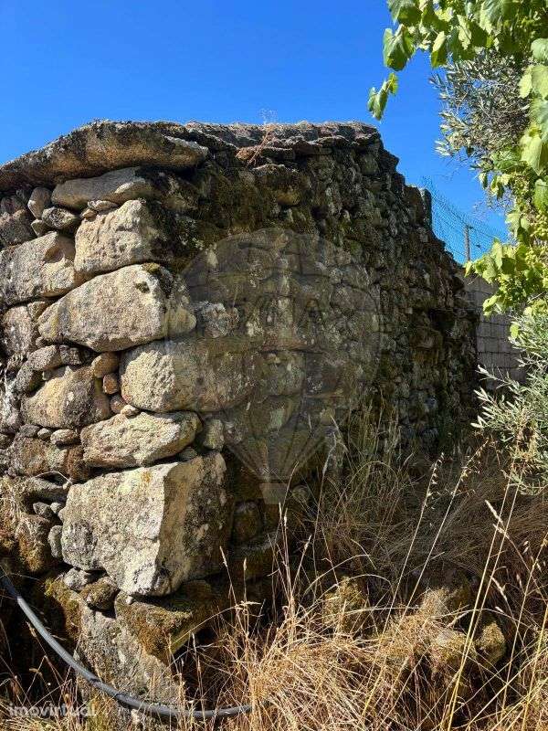 Armazém T0 para venda - Grande imagem: 3/6