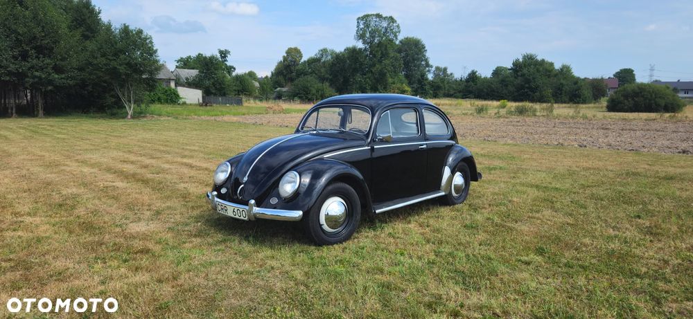 Volkswagen Garbus - 3