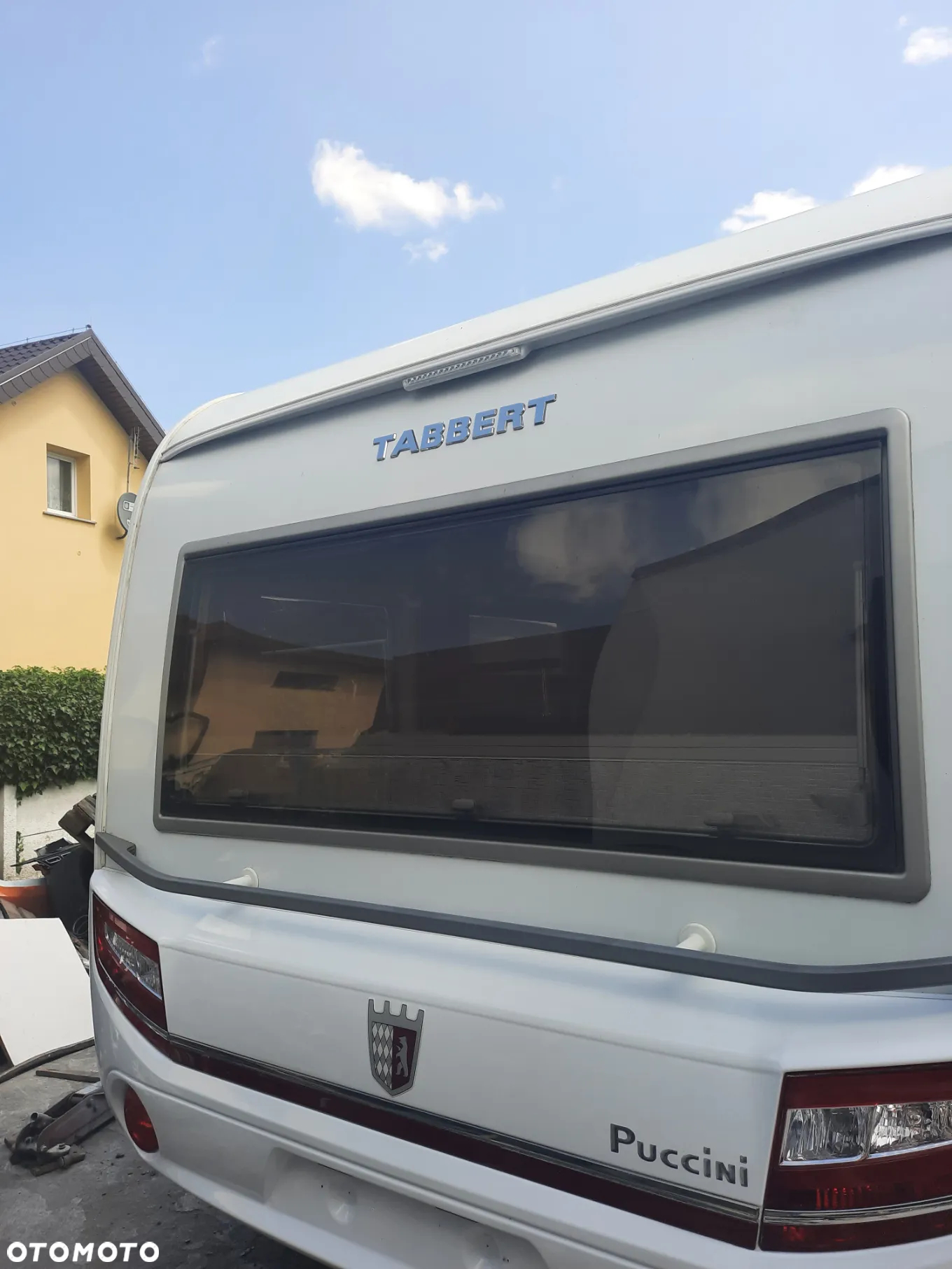 Tabbert Puccini - 12