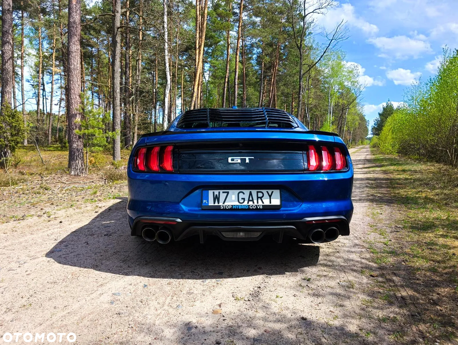 Ford Mustang Fastback 5.0 Ti-VCT V8 MACH1 - 11