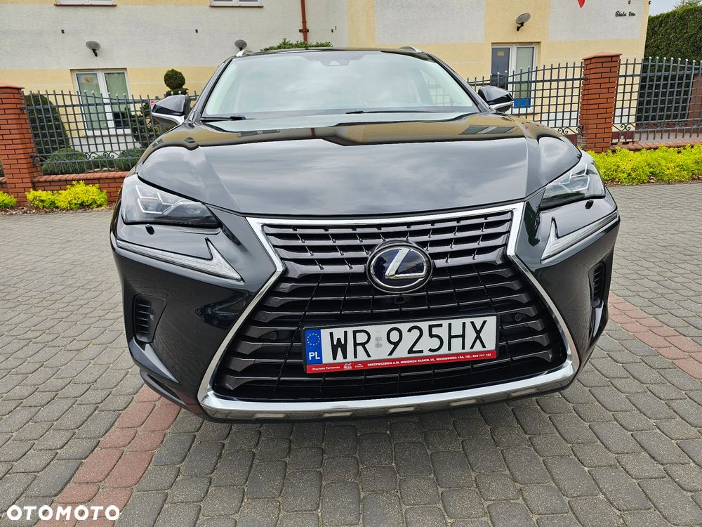 Lexus NX 300h Elegance 2WD - 35