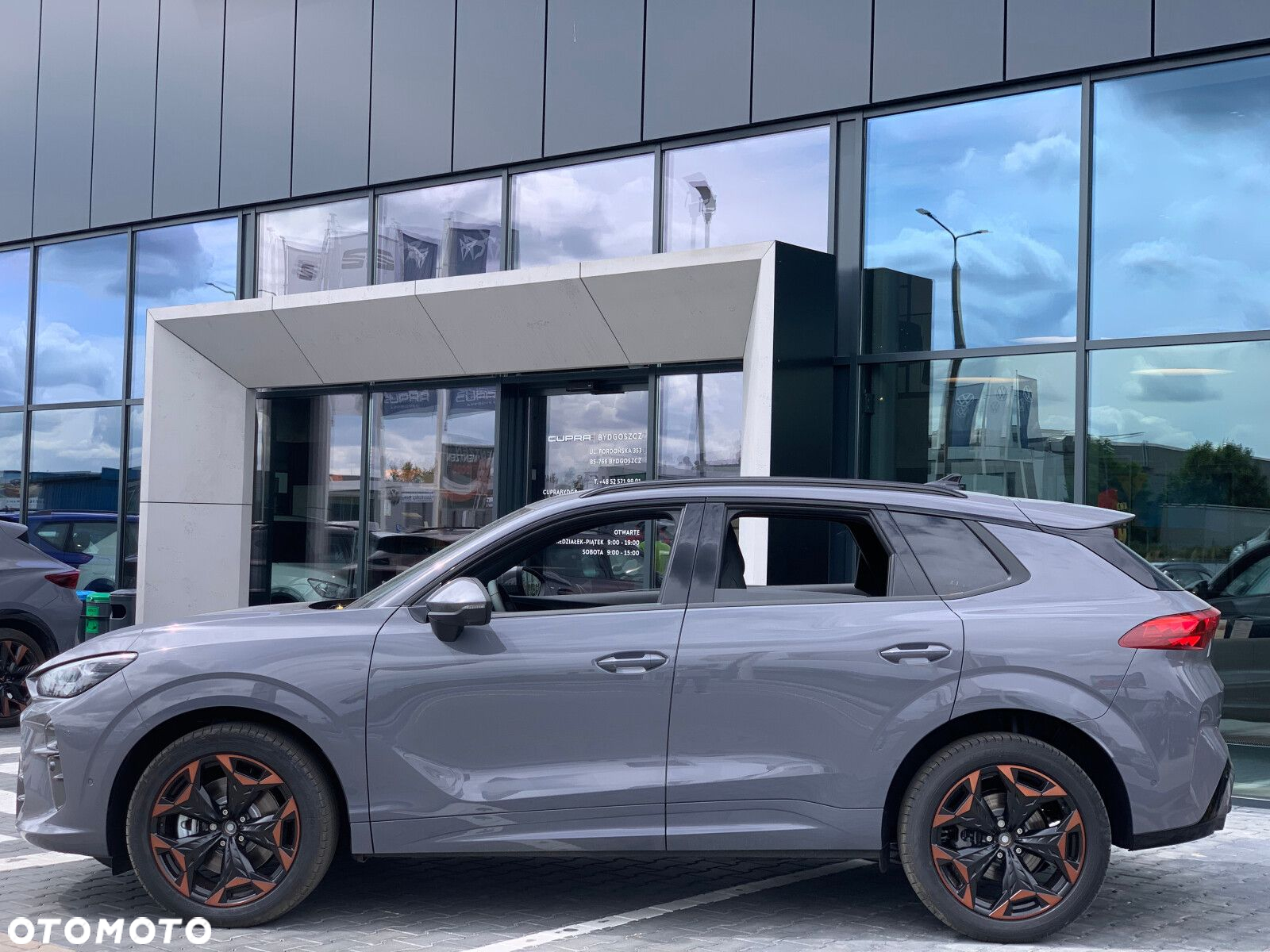 Cupra Terramar - 3