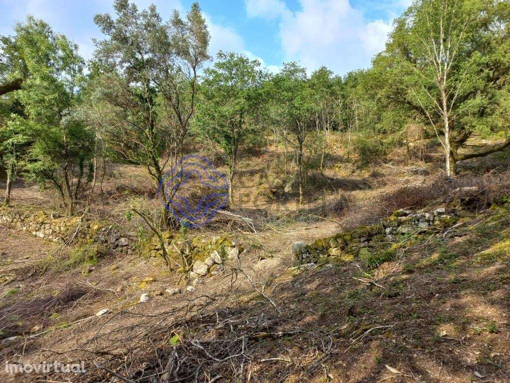 Terreno de 18.000 m2 em Chorense, Terras de Bouro - Braga - Grande imagem: 4/28