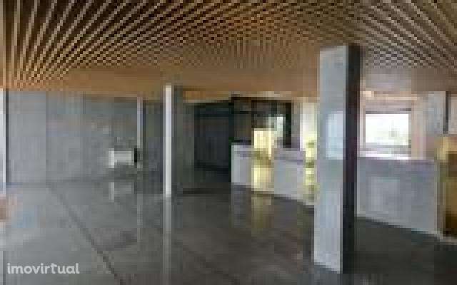 LOJA  FREIXO ESPADA CINTA - Grande imagem: 2/4