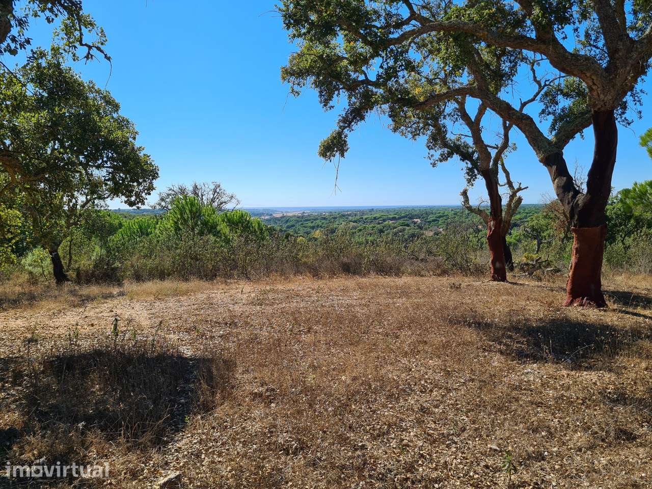 Quinta de 4 Hectares com Vista Mar e Potencial de Expansão –... - Grande imagem: 3/22