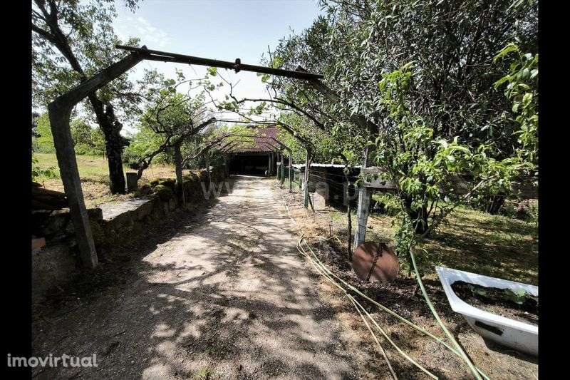 Quinta Rústica Habitável com 4 Hectares + Equipamento Agrícola.

Apres - Grande imagem: 3/8