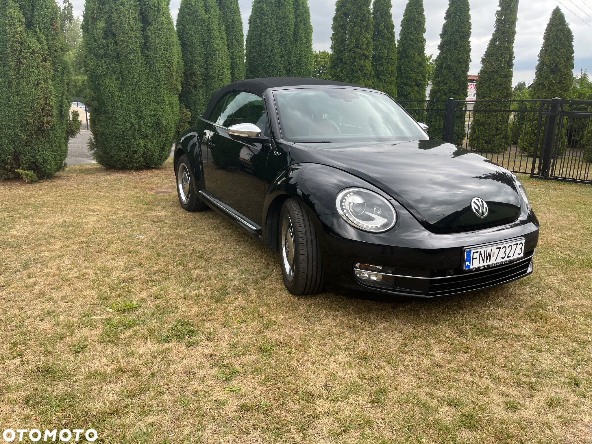 Volkswagen Beetle - 20