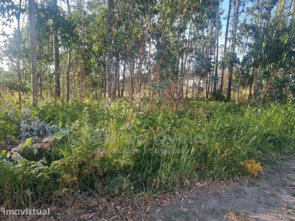 Terreno para Construção - Grande imagem: 2/4