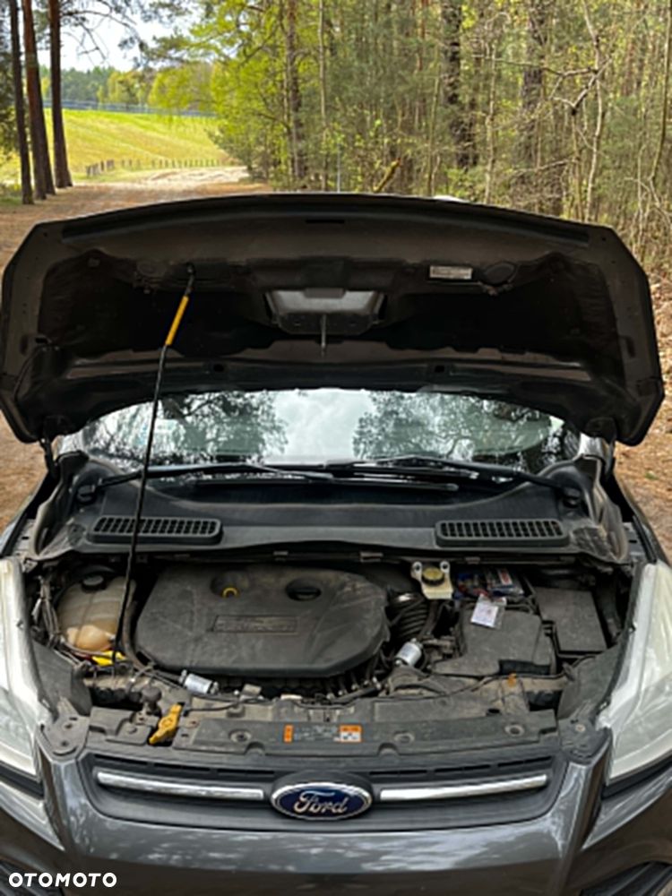 Ford Escape - 14