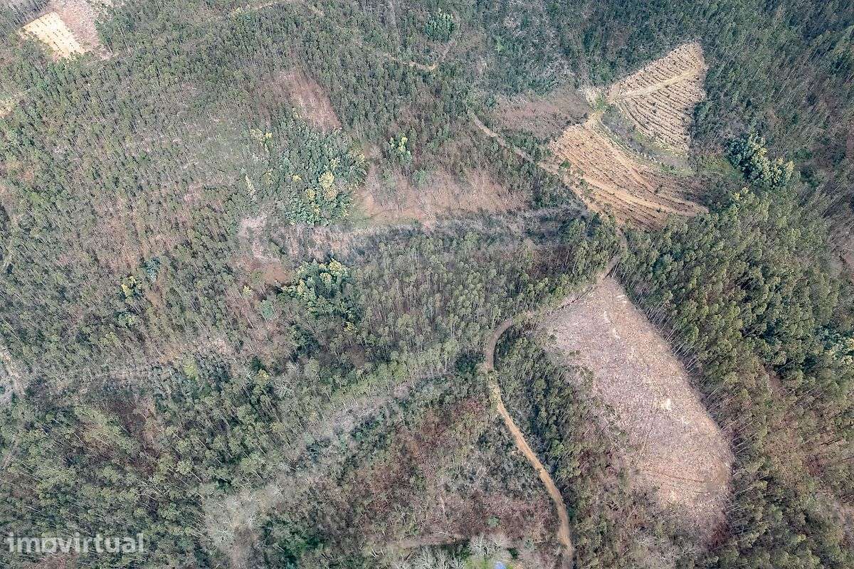 Terreno  para venda - Vista 5