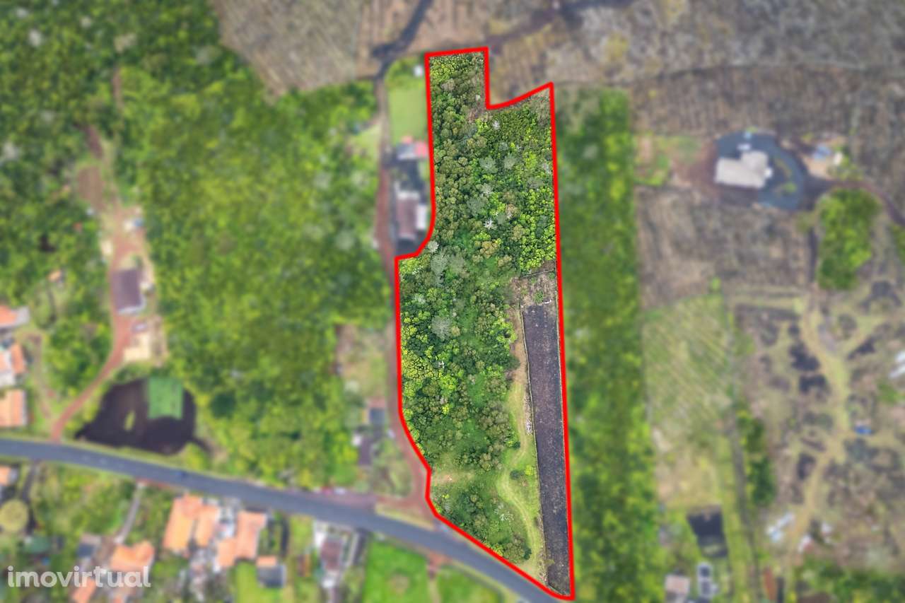 Terreno para construção - Ilha do Faial - Grande imagem: 5/9