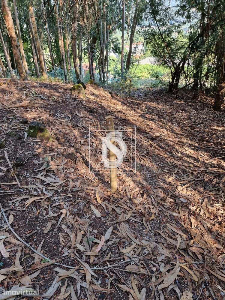 Terreno   em Arões (São Romão) - Grande imagem: 5/6