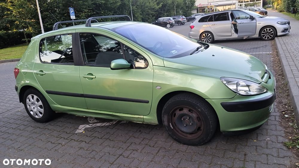 Peugeot 307 - 8