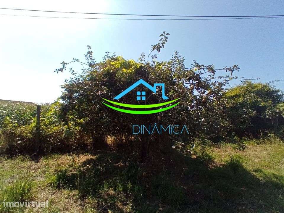 Terreno com Poço em Arazede – Coimbra - Grande imagem: 5/7