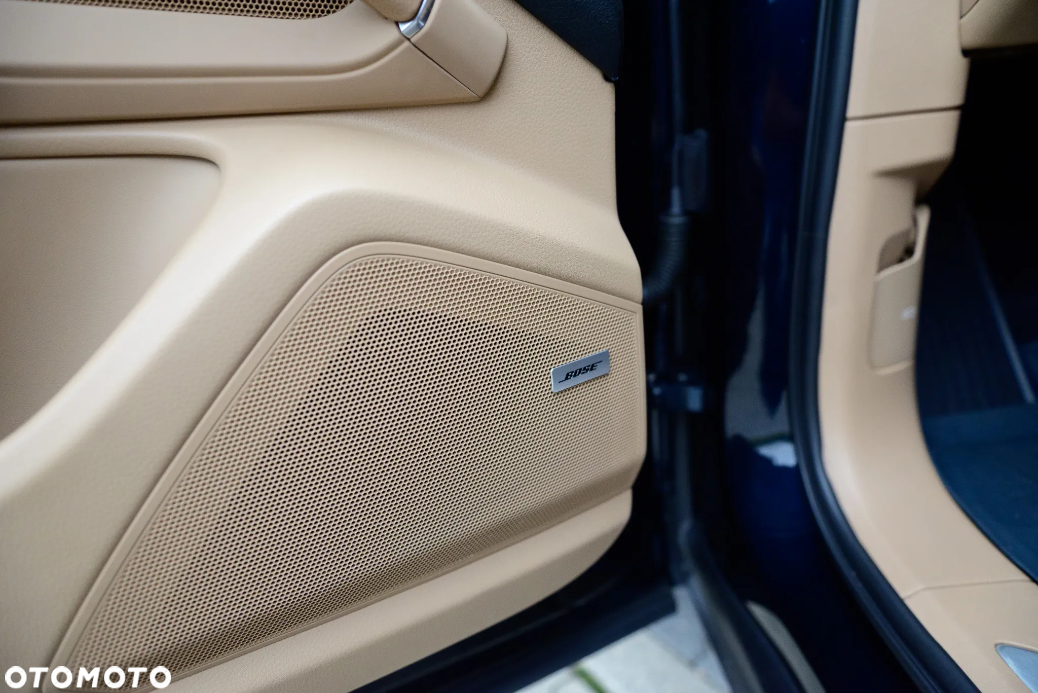 Porsche Cayenne E-Hybrid Platinum Edition - 11