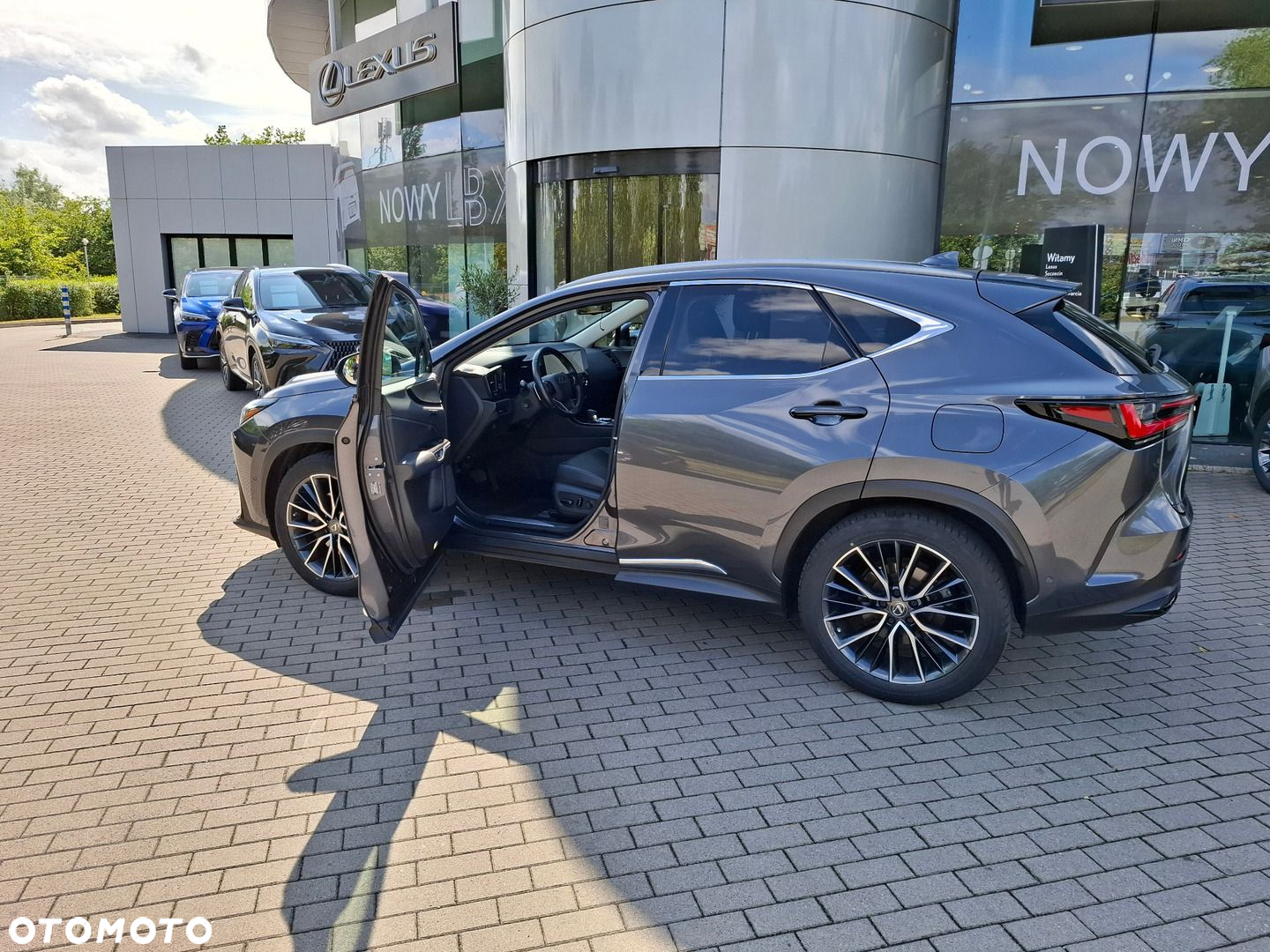 Lexus NX - 10