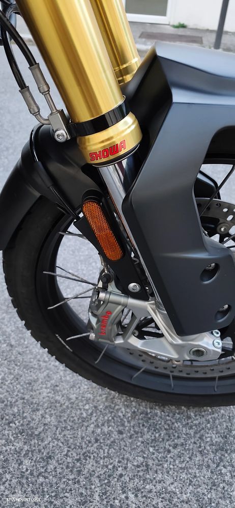 Triumph Tiger Rally Pro - 13