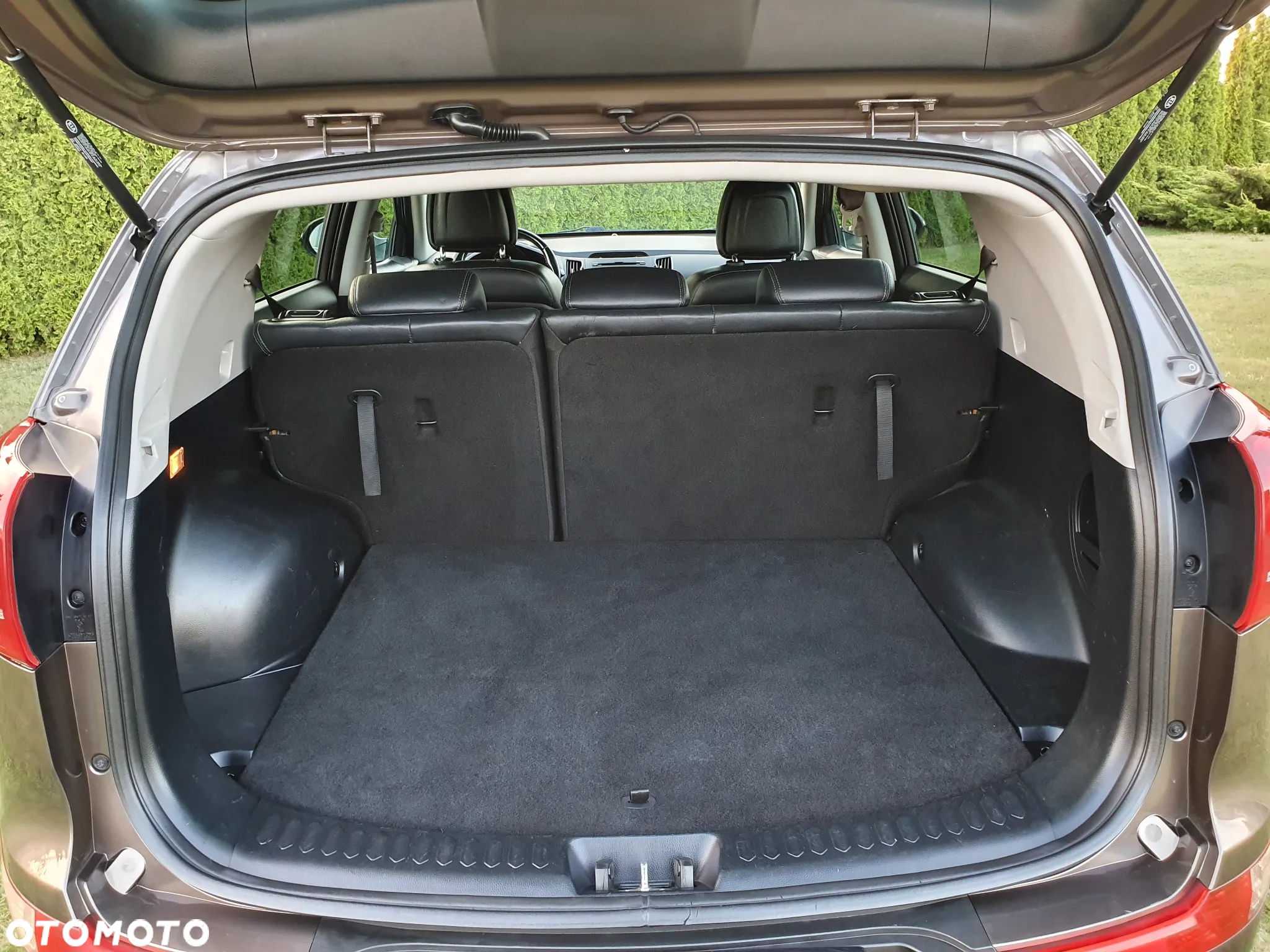 Kia Sportage 1.6 GDI Business Line L 2WD - 24