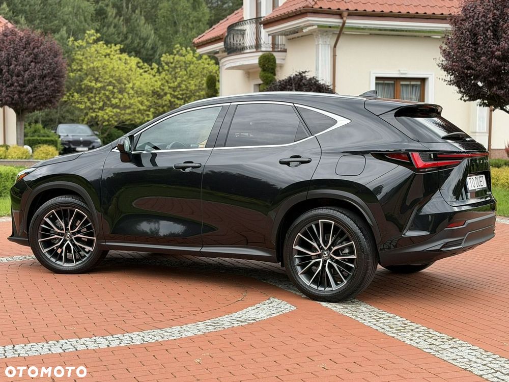 Lexus NX - 12
