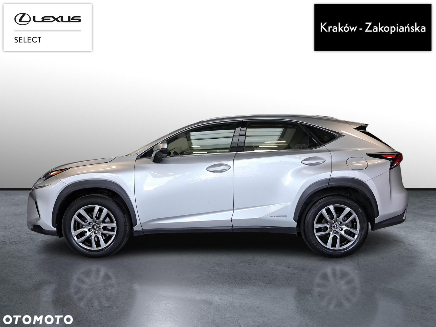 Lexus NX - 4
