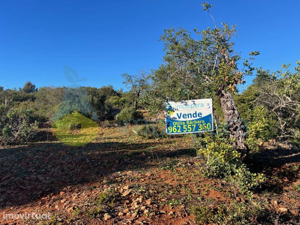 TERRENO RÚSTICO 6.000m2 ZONA CAMPESTRE - Grande imagem: 2/17