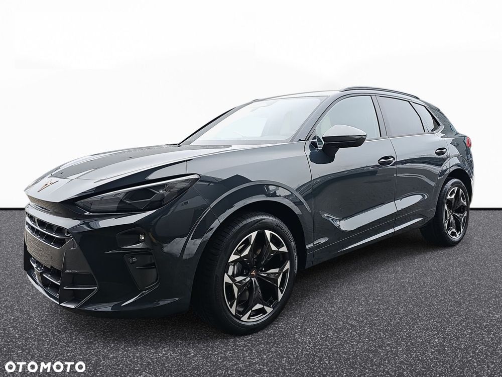 Cupra Terramar 2.0 TSI 4Drive DSG - 4