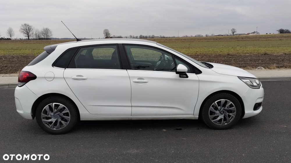 Citroën C4 1.6 BlueHDi Feel Edition S&S EAT6 - 18