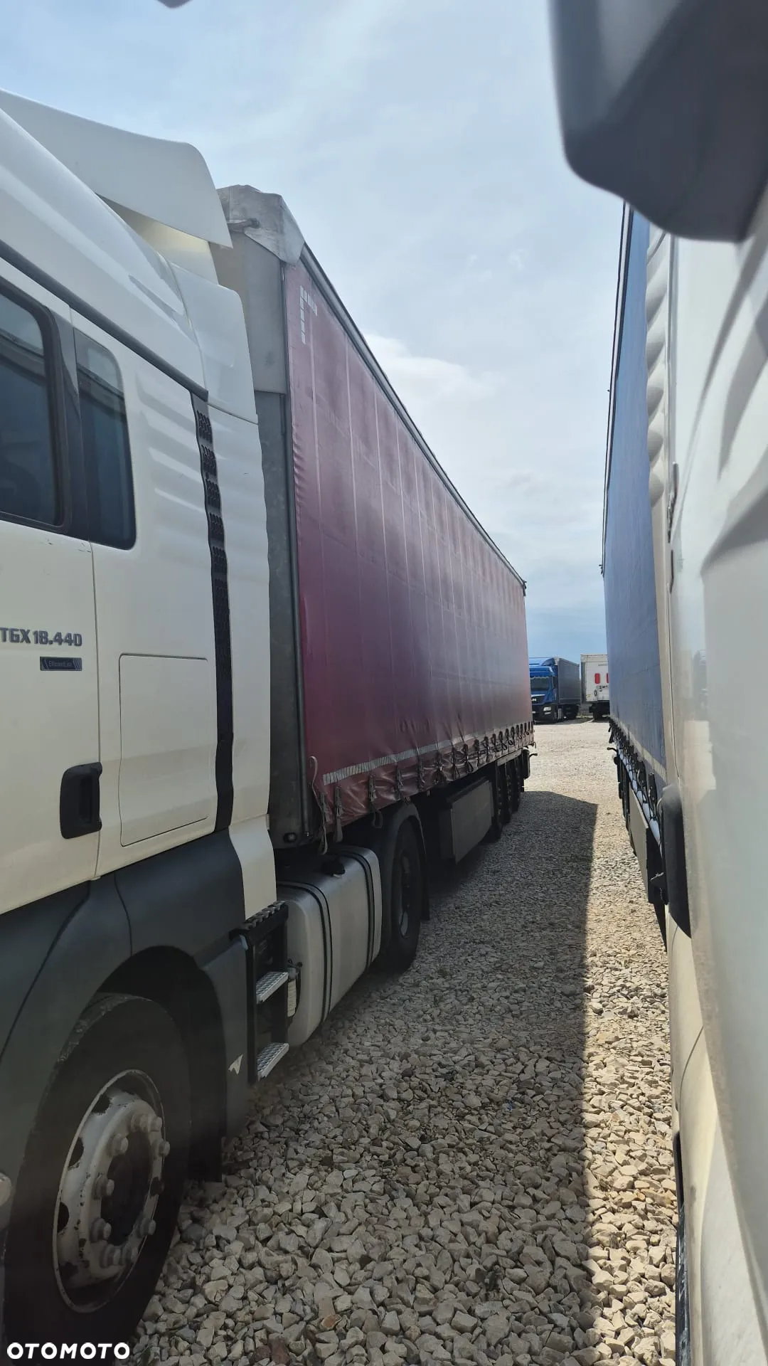 Schmitz Cargobull - 5