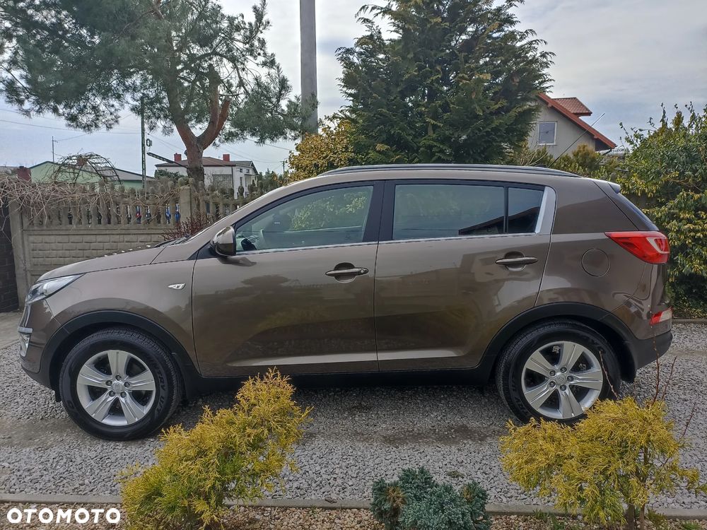 Kia Sportage - 14