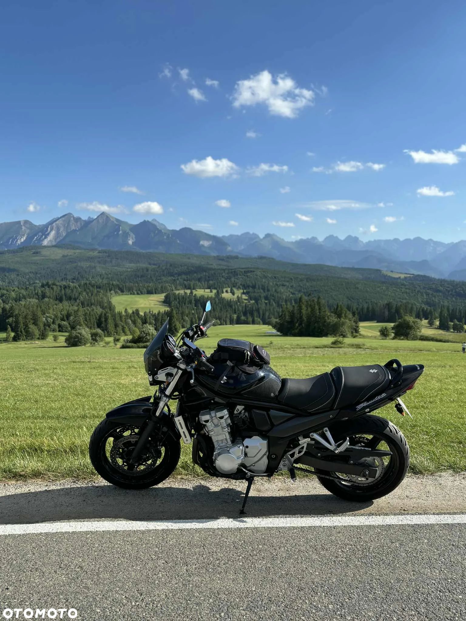 Suzuki Bandit - 1