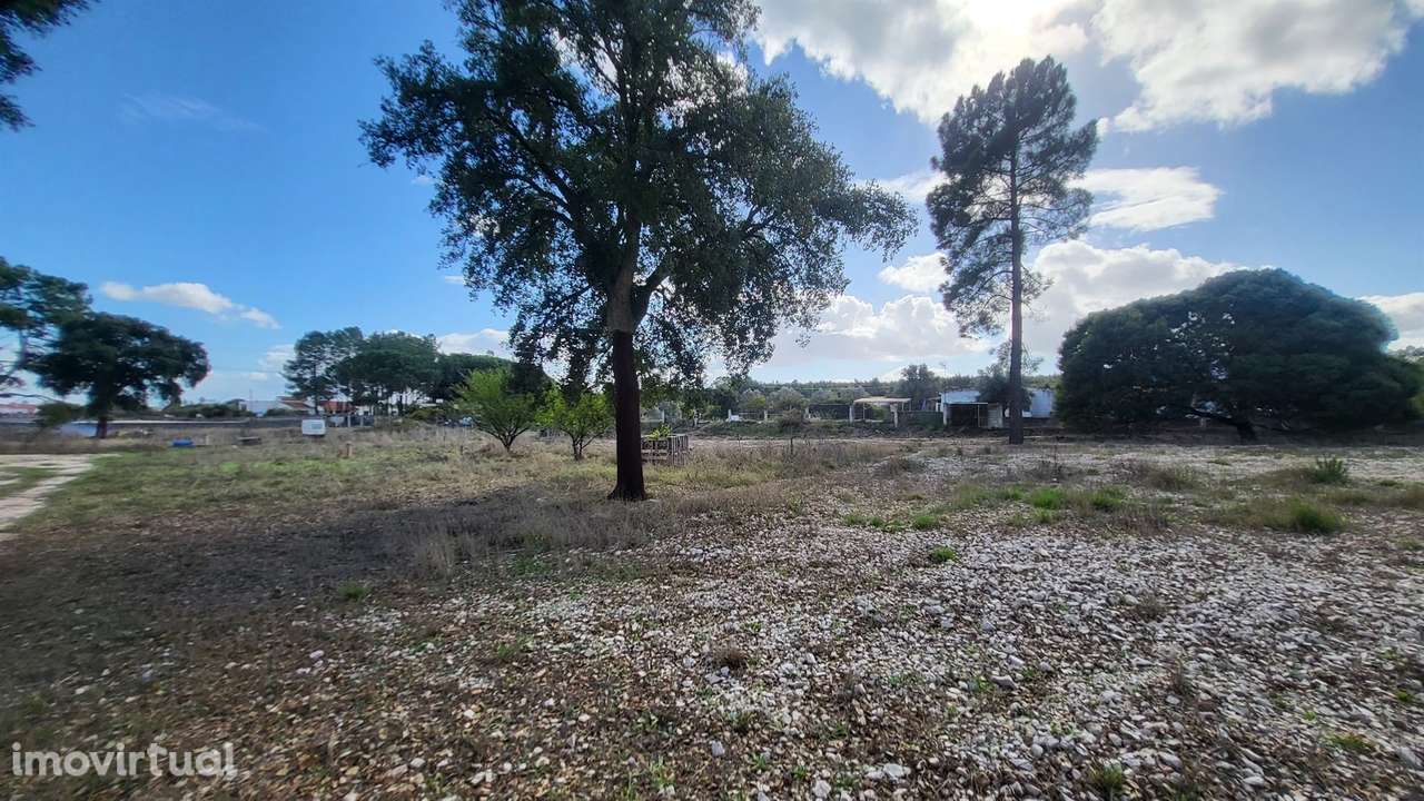 Terreno Rústico  Arrendamento em Vale da Pedra,Cartaxo - Grande imagem: 5/23