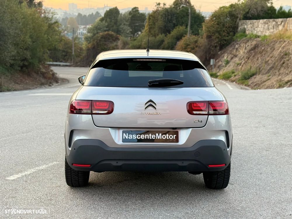 Citroën C4 Cactus 1.2 PureTech Shine EAT6 - 14