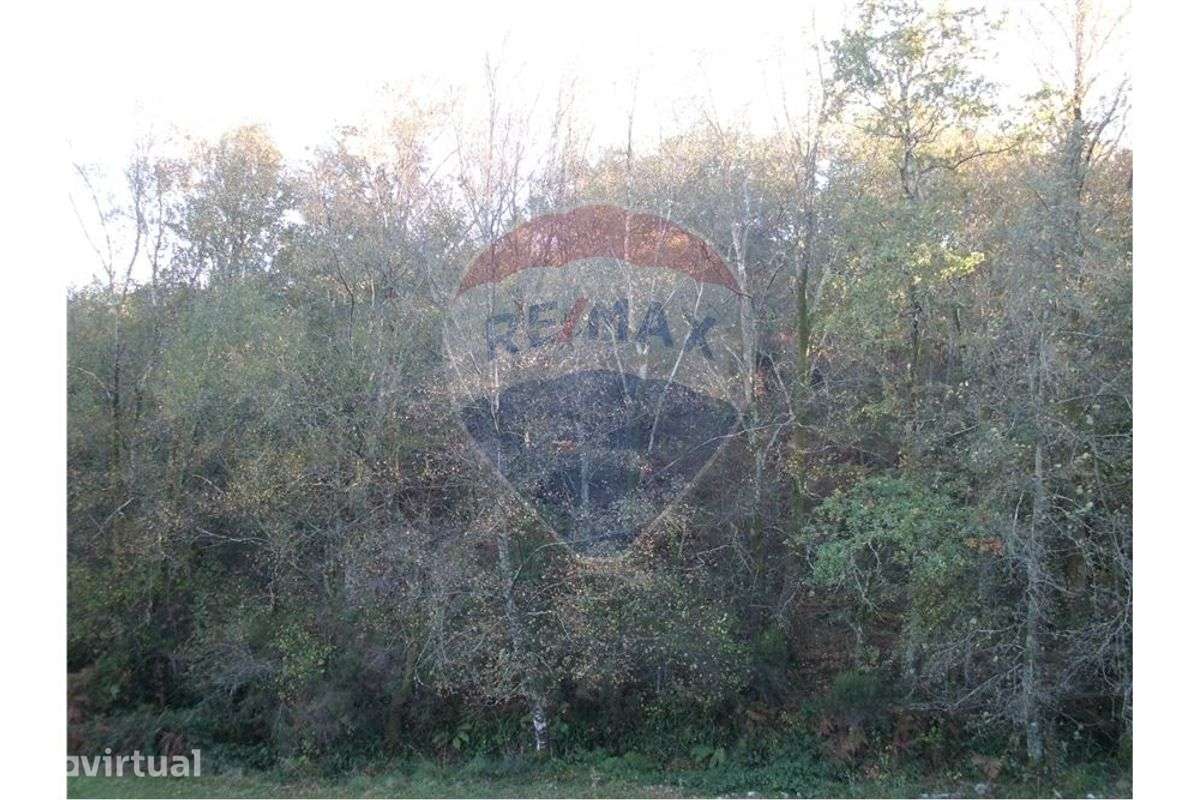 Terreno T0 para venda - Grande imagem: 2/4